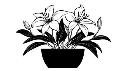 A fully bloomed Asiatic lily standing upright in a pot, Plant Digital Art