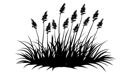 Horsetail reed growing in a boggy area of the garden, Plant Digital Art