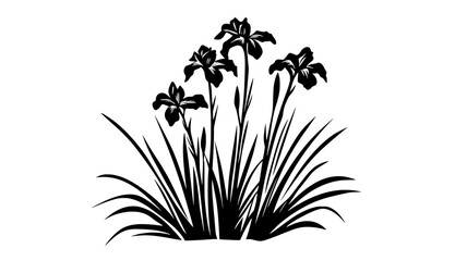 Iris plant with sword-like leaves and multiple flower stalks, Plant Digital Art