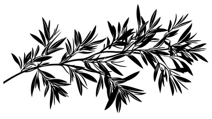 Naklejka premium Rosemary bush with needle-like leaves growing on woody stems in a garden, Plant Digital Art