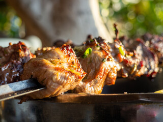Shashlik on a skewer close-up. Fried meat with smoke. Home cooking. Cuisine of the peoples of the world.