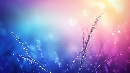 Dewy grass, soft focus, colorful bokeh background.