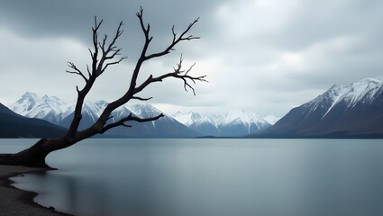Serene Mountain Lake with Dead Tree Silhouette