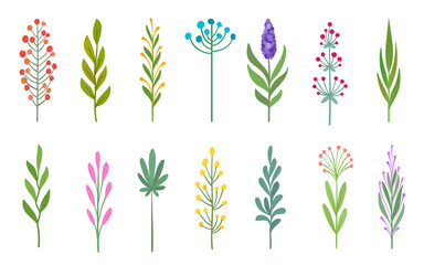 Floral Flat set of branches leaves, bud stems, berries flowers greenery. Hand drawn botanical plants foliage, herbs twigs petals blossoms, sprigs wildflowers seedpods and leaf clusters