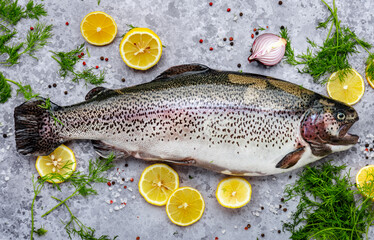 Fresh rainbow trout with lemon, dill, salt and spices on grey table background, top view
