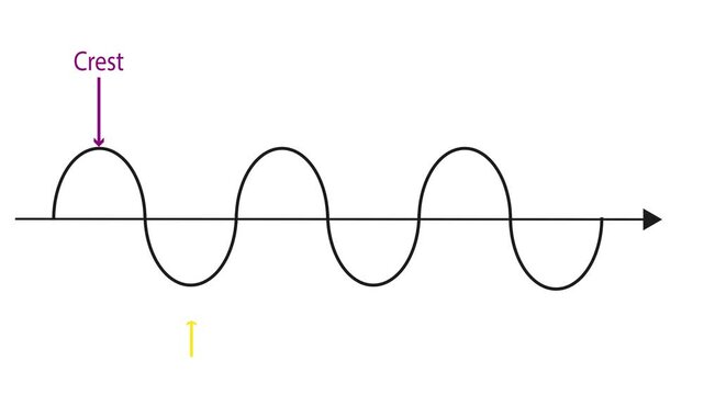 Transverse wave in physics. Video animation 4K.