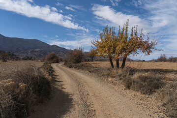 Fototapeta premium Rural street in the mauntain of crete