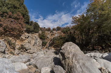 rural path in the moutains of crete