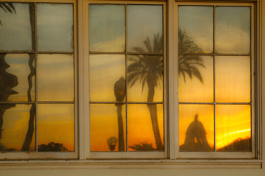 Redlands, California. Reflection of palm tress at sunset. 