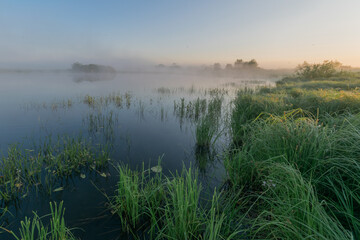 misty morning on the lake