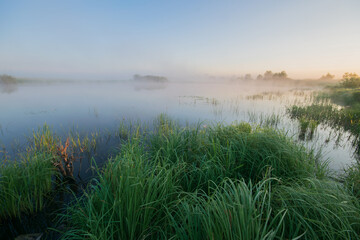 foggy morning on the lake