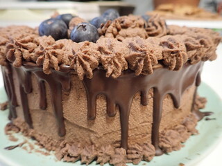 sweet decorated chocolate cake with blueberries