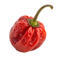 raw organic red cherry bomb pepper on transparent background