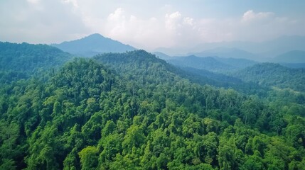 Obraz premium Green forested mountain range with blue sky.