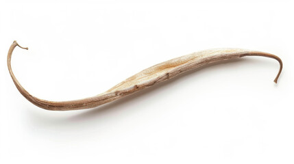Fototapeta premium vanilla bean isolated on white background