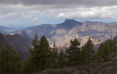 Gran Canaria, landscape of the central part of the island, Las Cumbres, ie The Summits, short hike between rock Formation Chimirique and iconic Roque Nublo