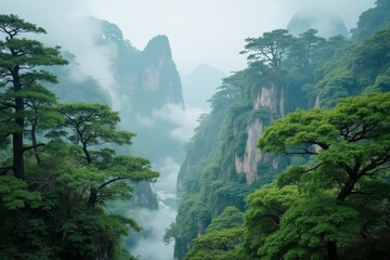 Mystical Asian mountain cliffs with lush vegetation in the morning fog