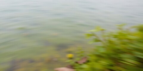 Blurred image of serene natural background featuring water and plants, blurred, outdoors, natural