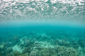 Rain falls heavily on the surface of the sea above a shallow coral reef at Bangka Island, North Sulawesi. This area harbors incredible marine biodiversity and is a popular destination for divers.