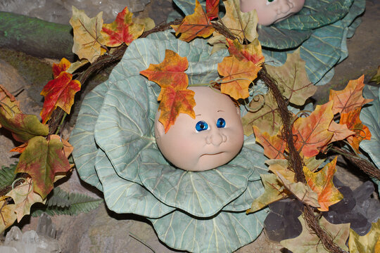 Editorial Use Only October 3, 2023 BabyLand General Hospital Cleveland, Georgia, USA. White County, GA.  Inside pictures.Babyland General Hospital fictional "birthplace" Cabbage Patch Dolls.