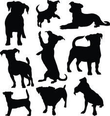 Jack russell dog animal silhouettes, Jack russell terrier dog silhouettes.