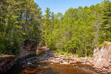  river in the forest © Michael