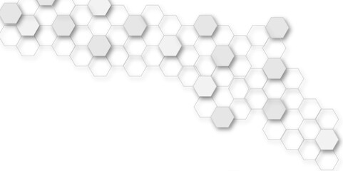 Abstract white and grey hexagon technology geometric pattern concept white background. Use for template, wallpaper, website vector illustration.