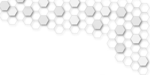 Abstract white and grey hexagon technology geometric pattern concept white background. Use for template, wallpaper, website vector illustration.