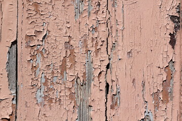 wooden wall texture, old painted pine planks