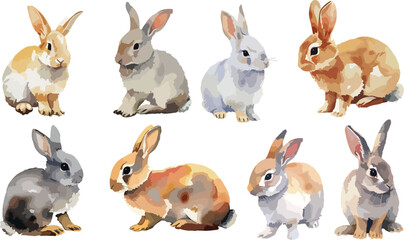 Set of vector watercolor Long Ear Cute grey bunnies illustration on transparent background. Happy Easter watercolor Easter rabbit