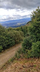 path in the mountains