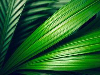 Close-up of the intricate texture of a vibrant green palm leaf, tropical, exotic