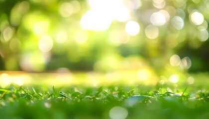 Obraz premium Blur background green park garden nature bright sunny forest. Blurry outdoor park in spring time glowing shinny day template with sunlight bokeh. Abstract blurred background banner copy space.