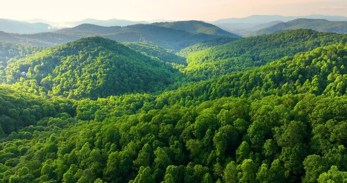 Beautiful morning nature of North Carolina Appalachian mountains, USA. Great Smokey Mountains in summer season