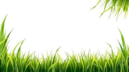 Realistic seamless grass border for design projects, grass, background