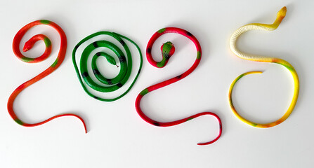 2025, symbol of the year green snake
