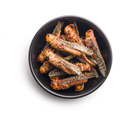 Crispy fried grasshoppers in bowl isolated on white background. Insect protein.