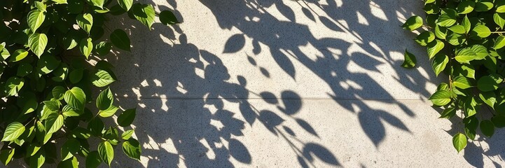 Obraz premium Silhouettes of leaves cast shadows on gray cement surface, design, shadows