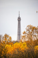 Obraz premium Autumn view of the Eiffel Tower in Paris, France, surrounded by vibrant fall foliage