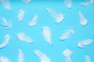 Beautiful feathers on light blue background, flat lay