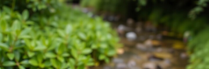 Blurred image of lush green plants and flowing water in a natural background, texture, soft, outdoor
