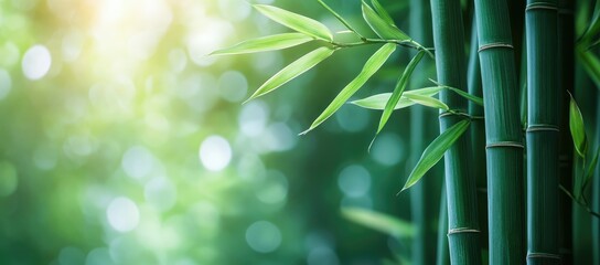 Obraz premium A serene view of bamboo stalks and leaves in a soft, blurred green background.