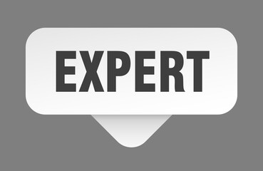 EXPERT