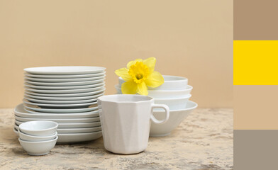 Composition with clean dishes, cup and beautiful daffodil on light table near brown wall
