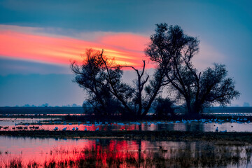 Brilliant autumn sunset at Merced National Wildlife Refuge in California