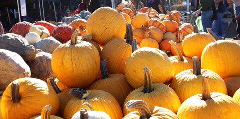 Pumpkins 