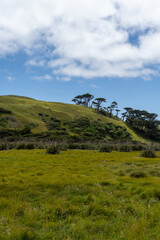 Obraz premium landscape with mountains and sky