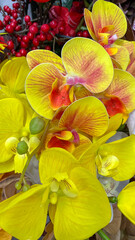Close-up of vibrant artificial yellow orchids with red accents and intricate details on the petals....