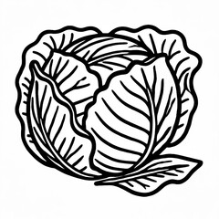 Fototapeta premium Cabbage with Layered, Leafy Structure Coloring Book Outline