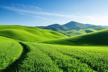 Vibrant green hills under clear blue sky, pathway leading through.